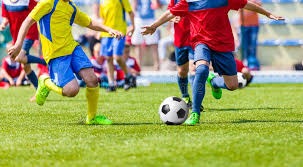 2026世界杯前瞻：阿里千问多维助力乡村球场建设与赛事预测